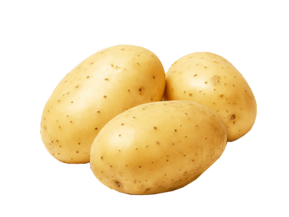 Potato